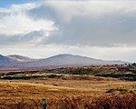 Whisky écossais d'Islay