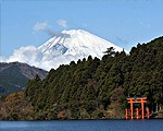Whisky single malt japonais