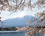 Whisky japonais